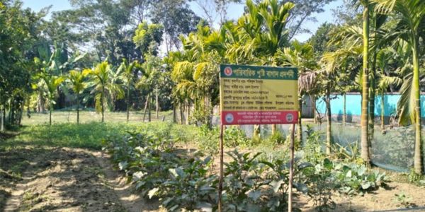 করিমগঞ্জে বাড়ির আঙিনায় সবজি চাষে সফিকুলের বাড়তি আয় 